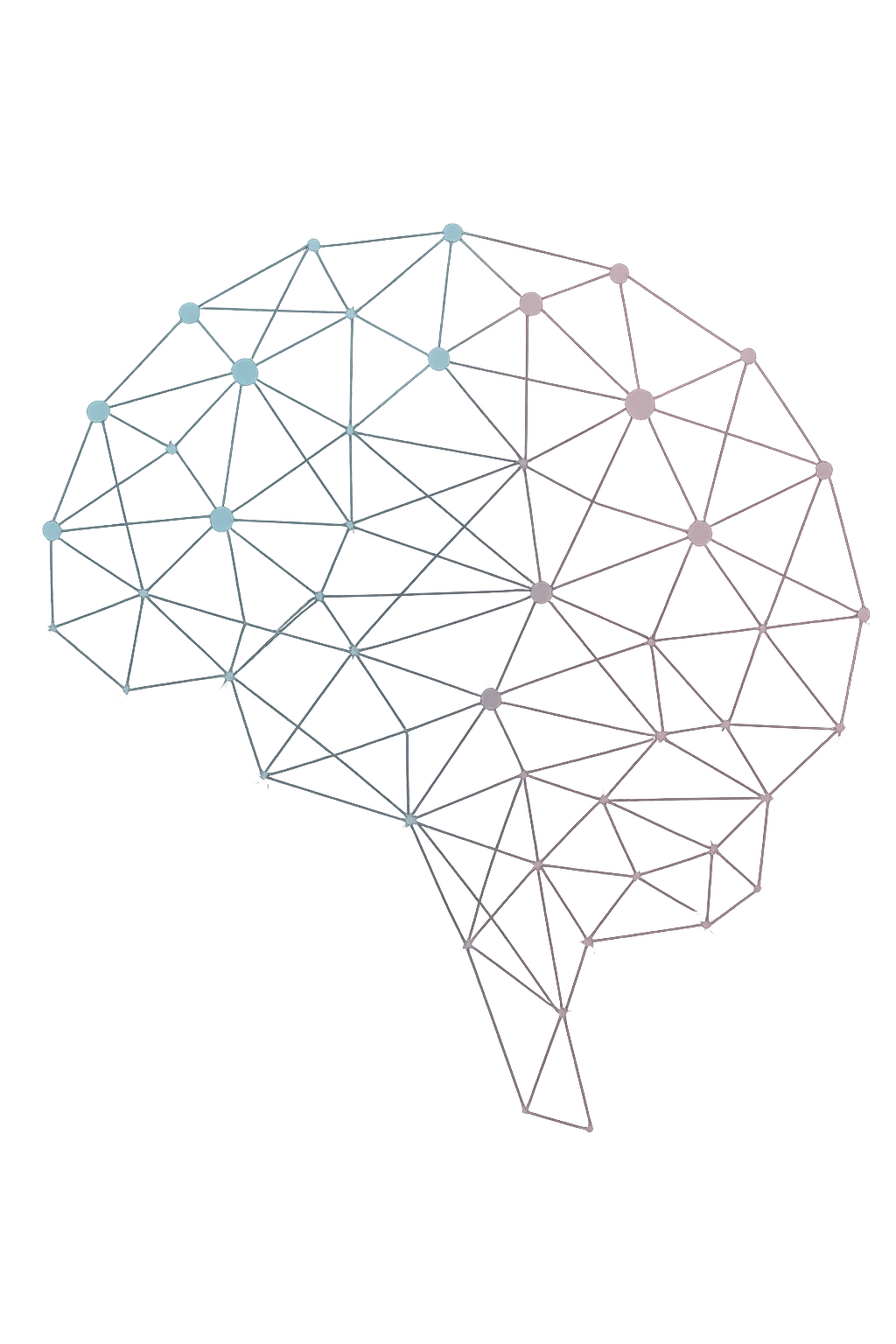Network Background
